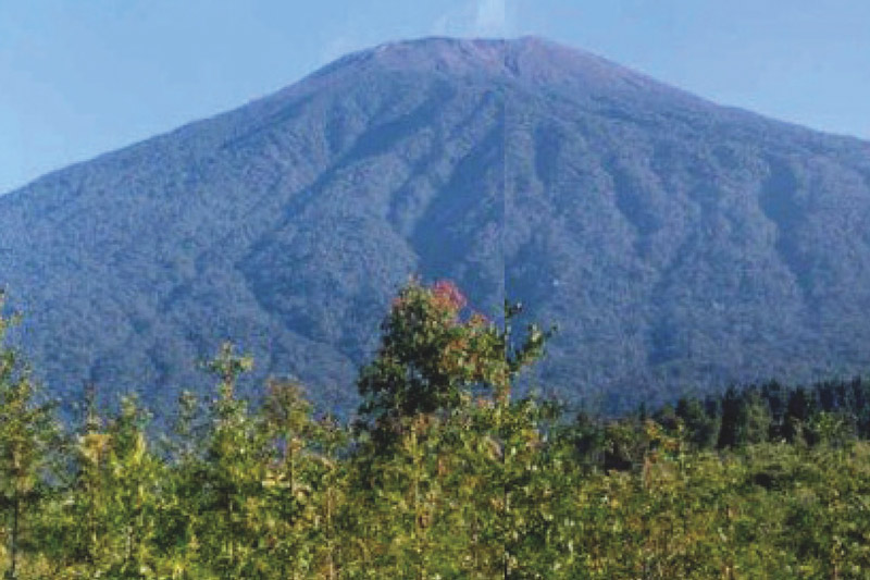 Baturaden Geothermal Due Dilligence