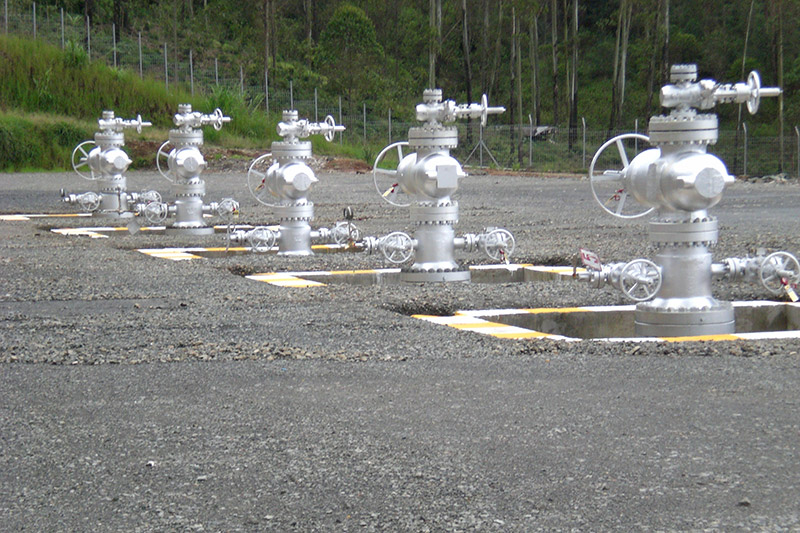 Wayang Windu Geothermal Assets Due Diligence
