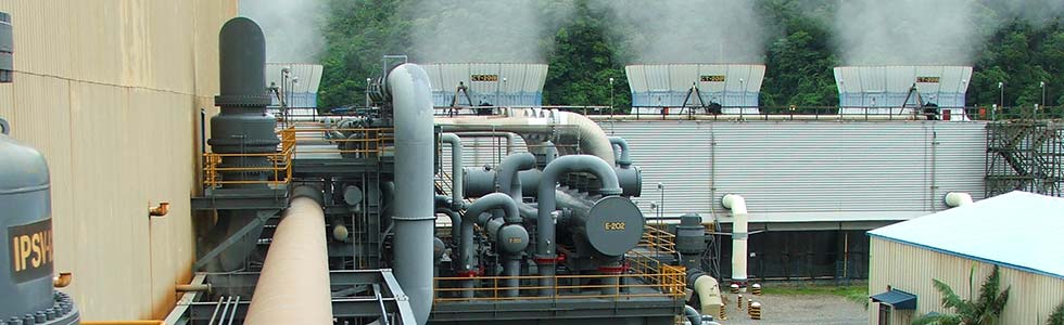 Thorndon Cook Power